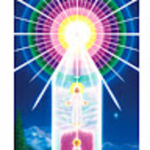 Meet your Posher, Carmen